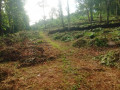 107-acre-of-prime-residential-land-for-sale-at-moonilavu-kottayam-small-0