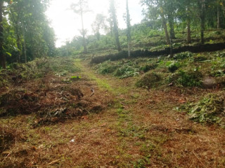 1.07 Acre of Prime Residential Land for Sale at Moonilavu, Kottayam