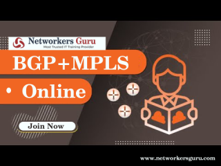 Best BGP+MPLS Training Institute in India