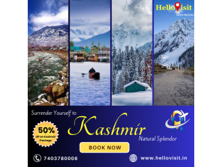 Best Places to Visit in Kashmir in February