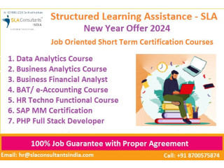 Accounting Institute in Delhi, GST Courses, Tally, Finance, SAP FICO Training Certification, by Structured Learning Assistance -[2024]
